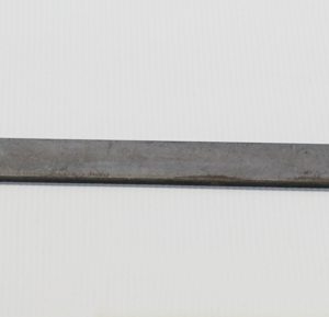 Seagrass Needle