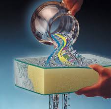 Reticulated Foam