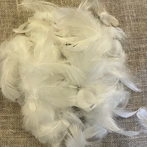 White Duck Feather