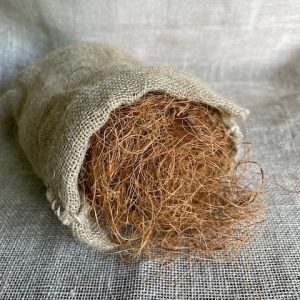 Ginger Coir