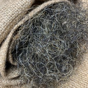 40/40/20 Hair